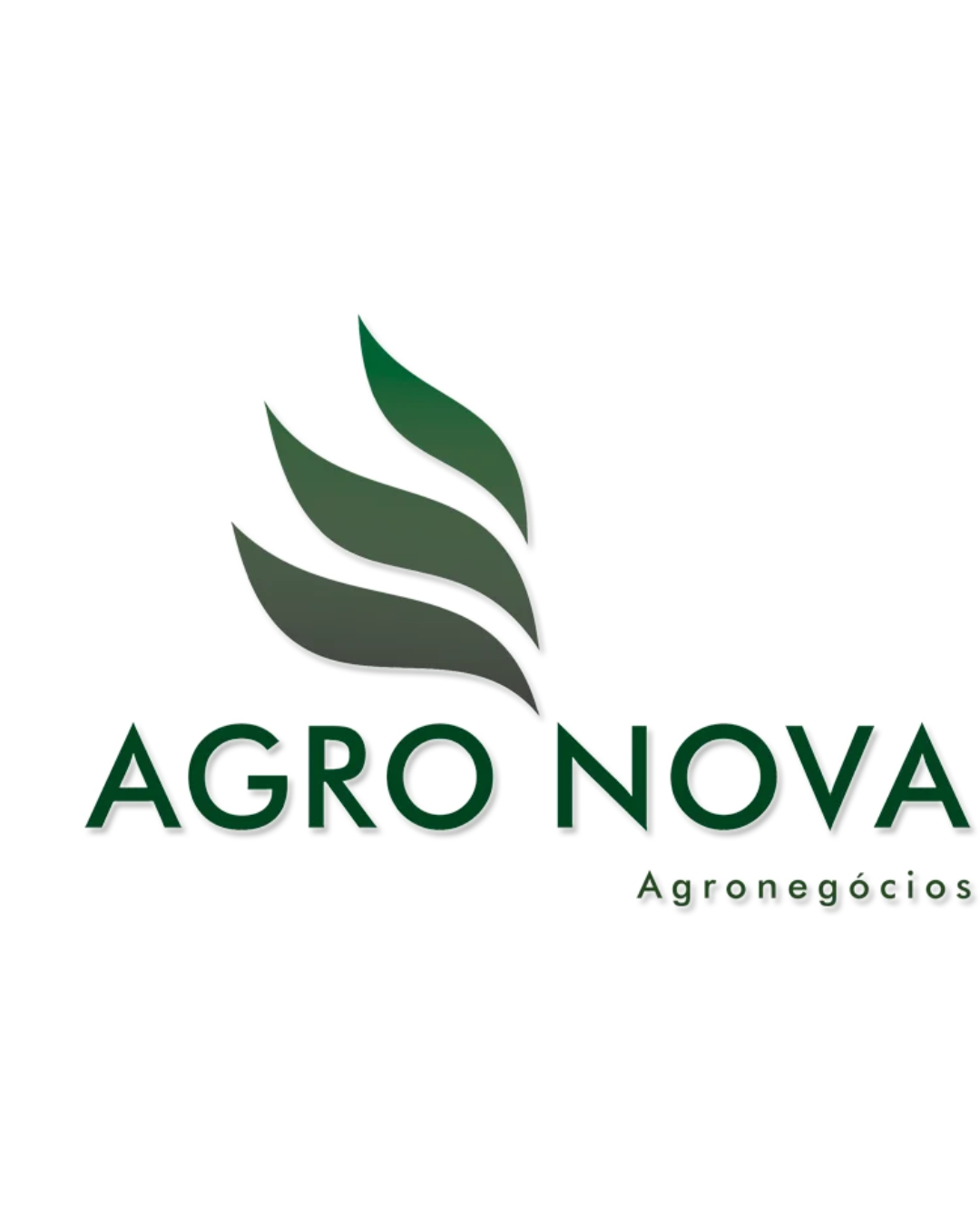 Design sem nome - 2026-07-25T112711.049